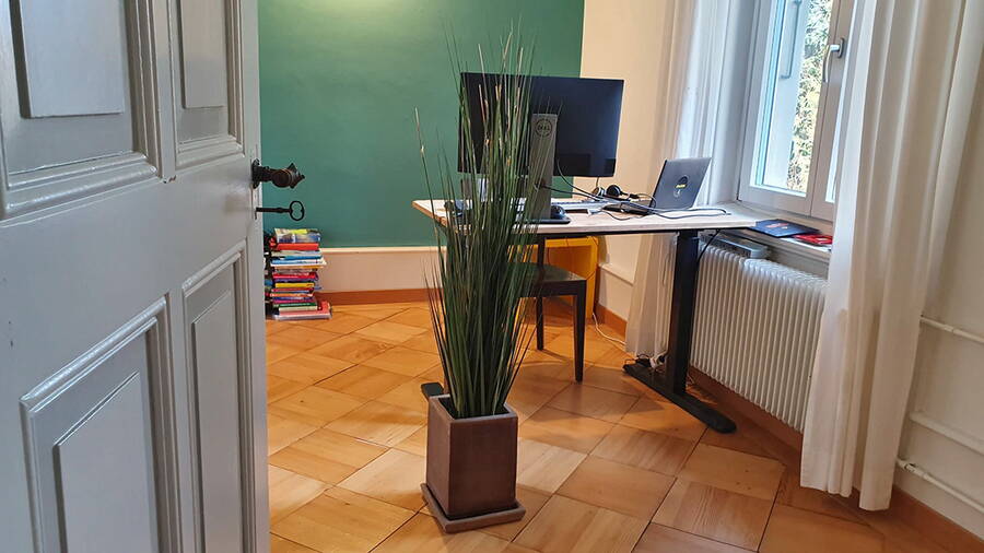 Feng Shui-Farbkonzept in Home Office. Grün unterstützt die Veränderung und motiviert