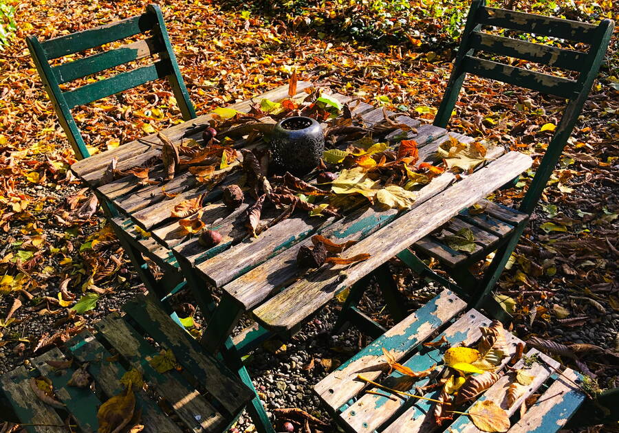 Bild_Frühling_Holz Feng Shui-Blog_Nr.3_